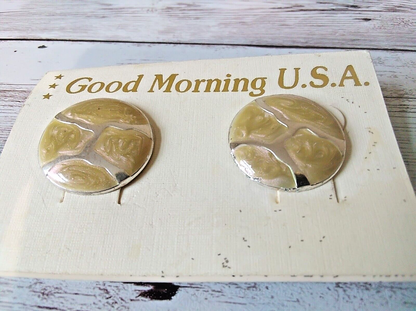 Timeless Elegance: Vintage 1980s Circle Cloisonne Earrings