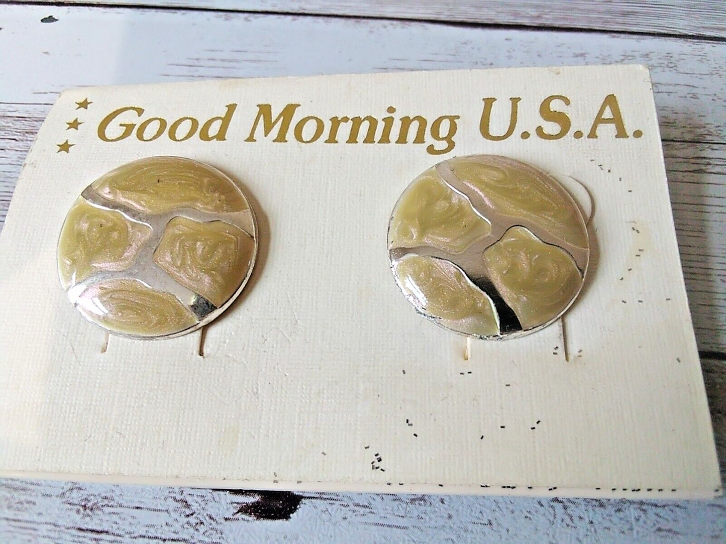 Timeless Elegance: Vintage 1980s Circle Cloisonne Earrings